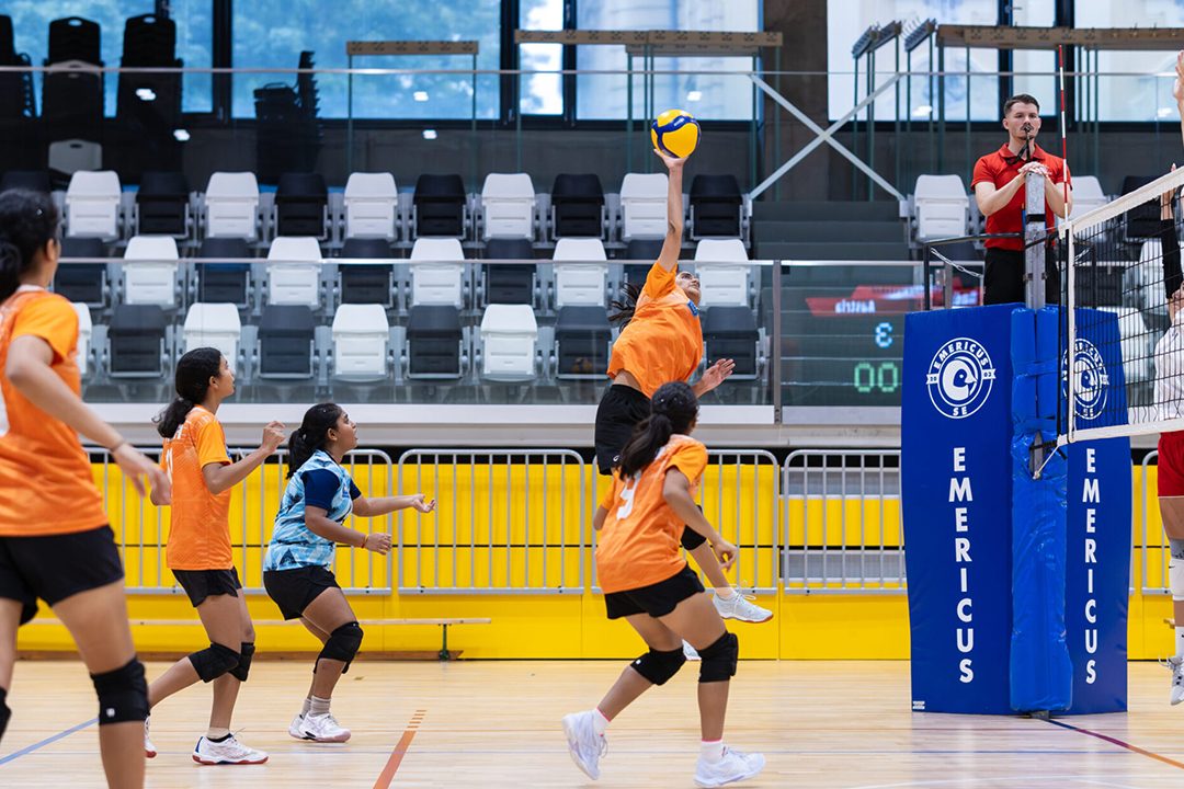 Volleyball